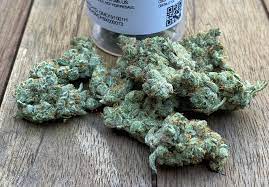 buy-gmo-cookies-strain