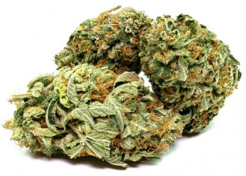 online cannabis store