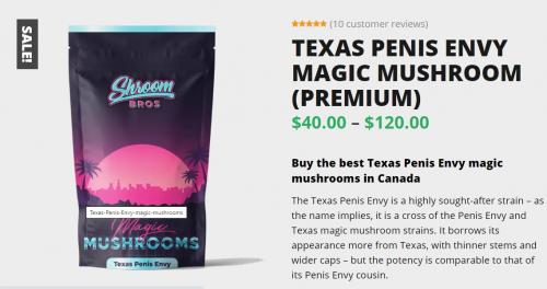 Penis envy mushrooms