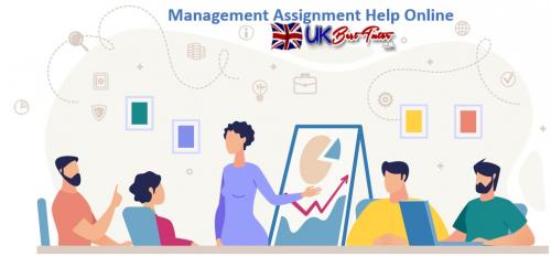 Management Assignment Help Online