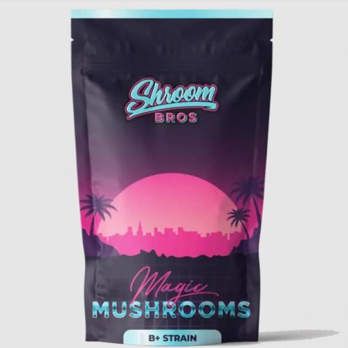 Buy B+ Magic Mushrooms Online in Canada
