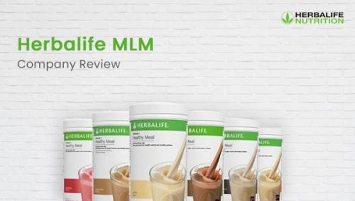 Herbalife MLM Company Review