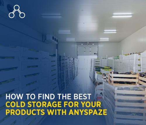 How to Find the Best Cold Storage for Your Products with ANYSPAZE