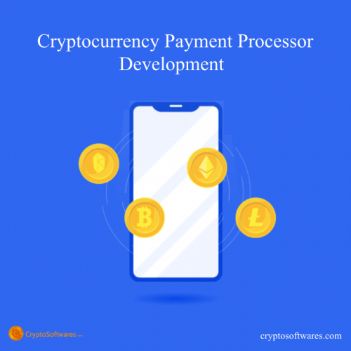 Cryptocurrency Payment Processor Development