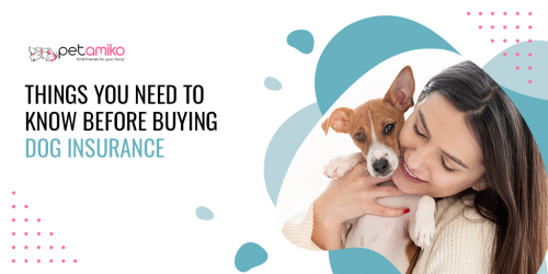 things-you-need-to-know-before-buying-dog-insurance