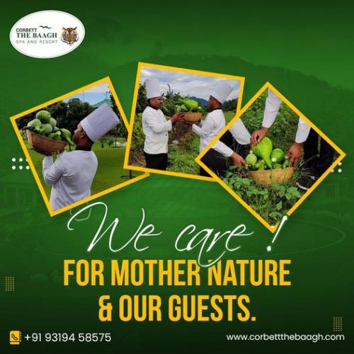 5 star resorts in jim corbett