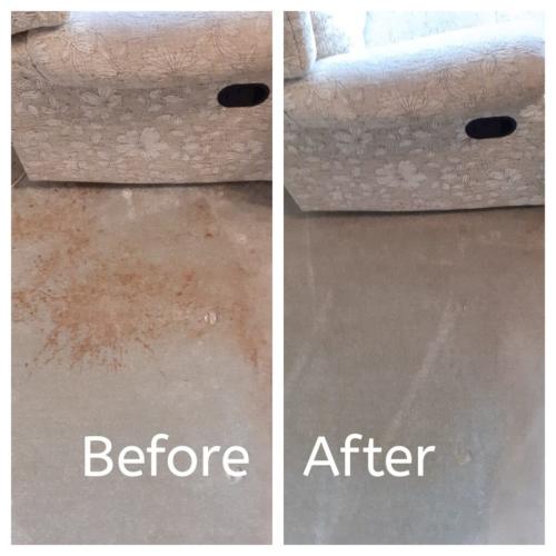 Carpet and upholstery cleaning in Evesham