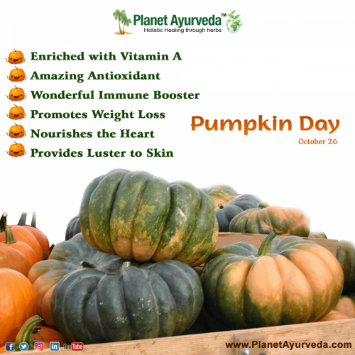 Pumpkin Day (26th October) - Health Benefits