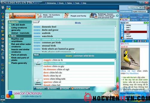 phan-mem-English-Study-Pro
