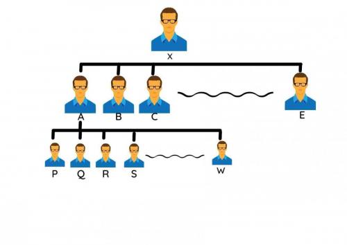 Universal Plan Structure