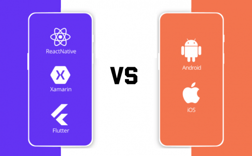 Native vs Hybrid Apps