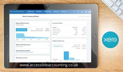 Xero Accounting Services - Accessible Accounting