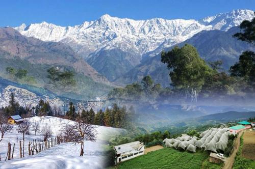 Tour Packages For Shimla