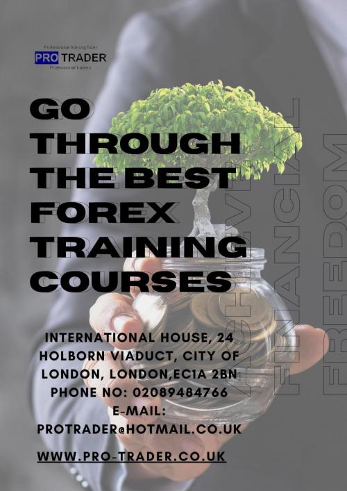Go Through The Best Forex Training Courses