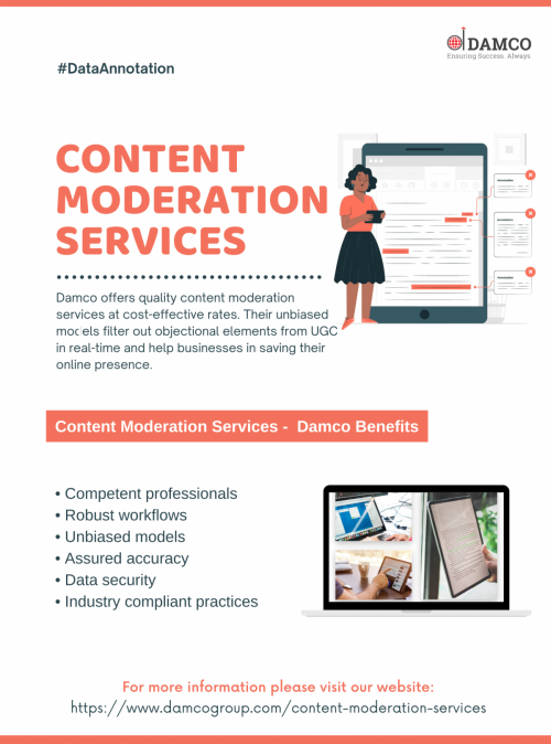 Content Moderation Services