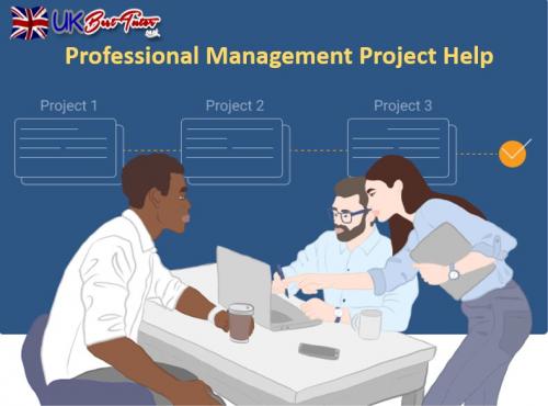 Professional Management Project Help