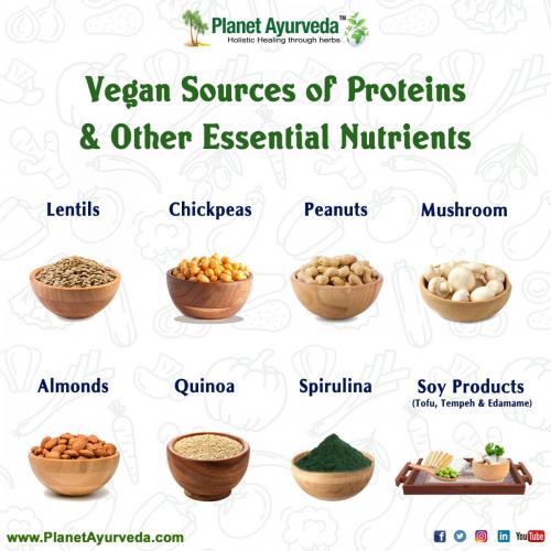 Vegan Sources of Protein & Other Nutrients