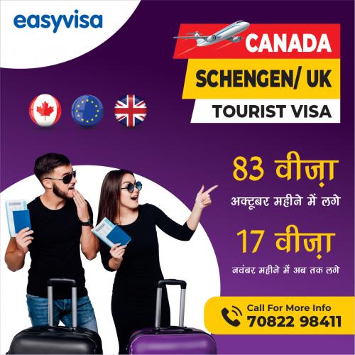 Visa Consultants In Punjab _Easy Visa