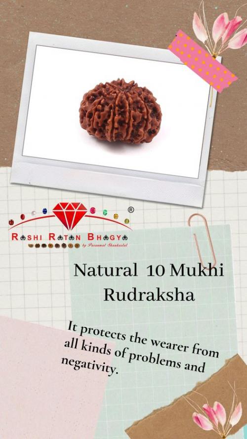 Natural 10 Mukhi Rudraksha