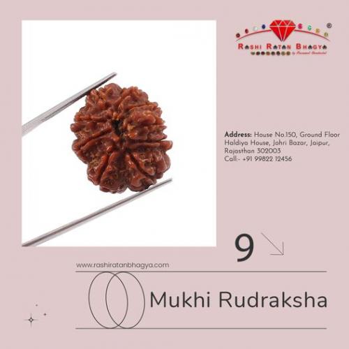 9 Mukhi Rudraksha