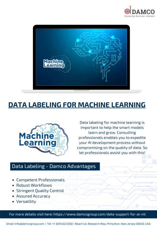 Data labeling for machine learning