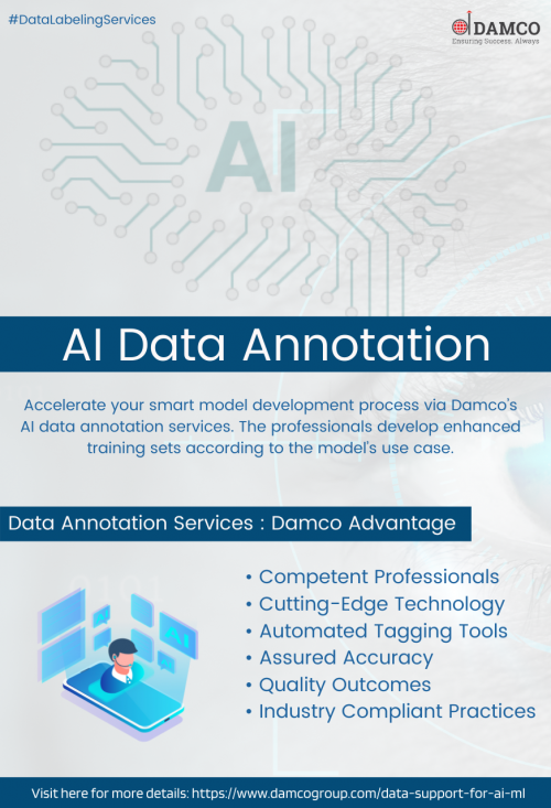 AI Data annotation