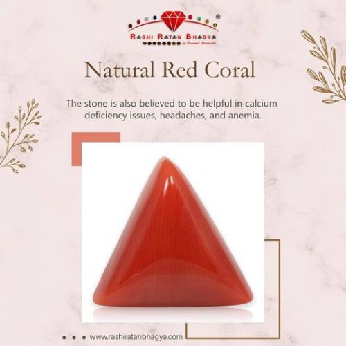 Natural Red Coral