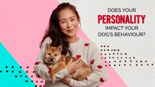 Does-your-personality-impact-your-dog's-behaviour