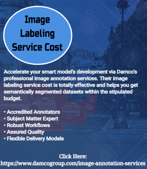 Image Labeling Service Cost