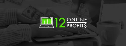 12onlineprofits social banner