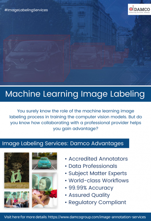 Machine learning image labeling