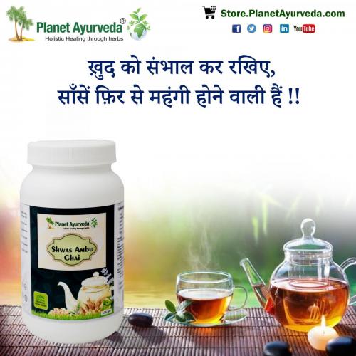 Shwas Ambu Chai for Healthy Lungs and Respiratory System