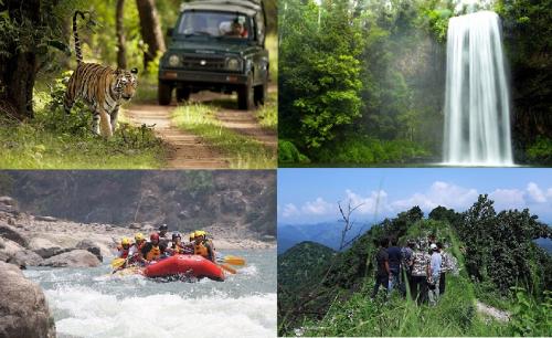 Best Things to Do in Ramnagar