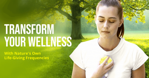 Transform Your Wellness with Qi Coils