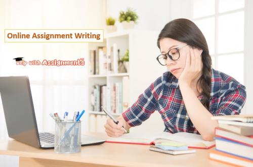 Online Assignment Writing