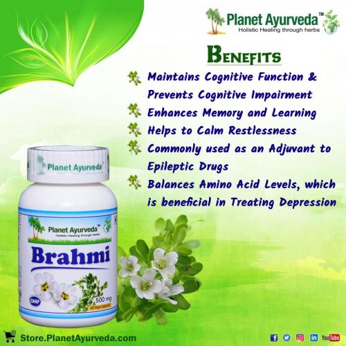 Brahmi (Bacopa Monnieri) - Benefits and Medicinal Uses