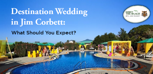 Destination Wedding in Jim Corbett