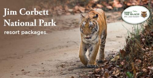 Jim Corbett Resorts in Jungle