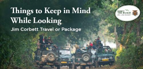 Places to Visit in Jim Corbett
