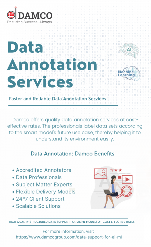 Data Annotation Services-Damco Group