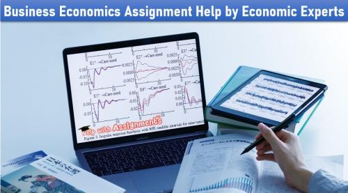 Business Economics Assignment Help by Economic Experts