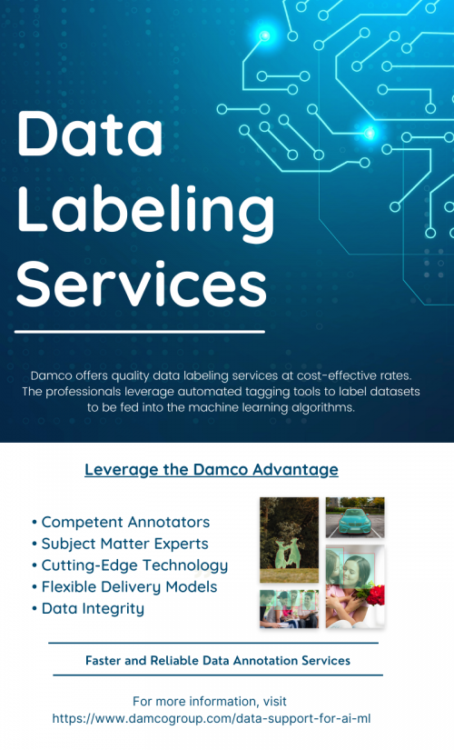 Data Labeling Services (1)