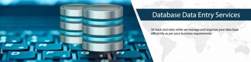 database-data-entry-services