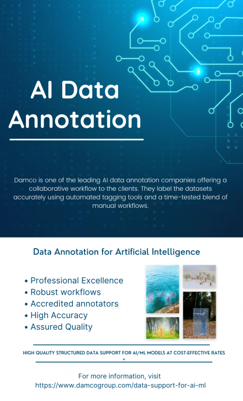 Ai Data Annotation