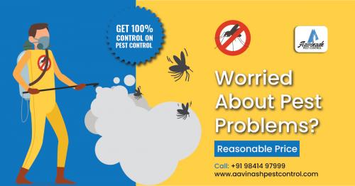 Pest Control Services in Chennai