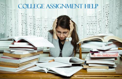 College Assignment Help
