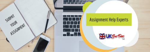 Assignment Help Experts