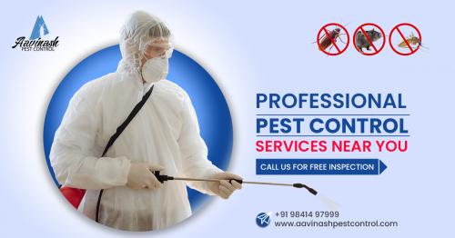 Pest Control Services in Chennai