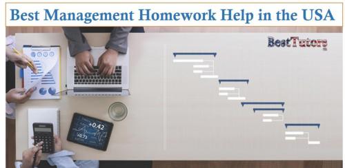 Best Management Homework Help in the USA