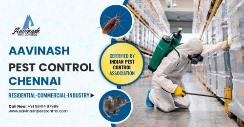 Pest Control Services in Chennai